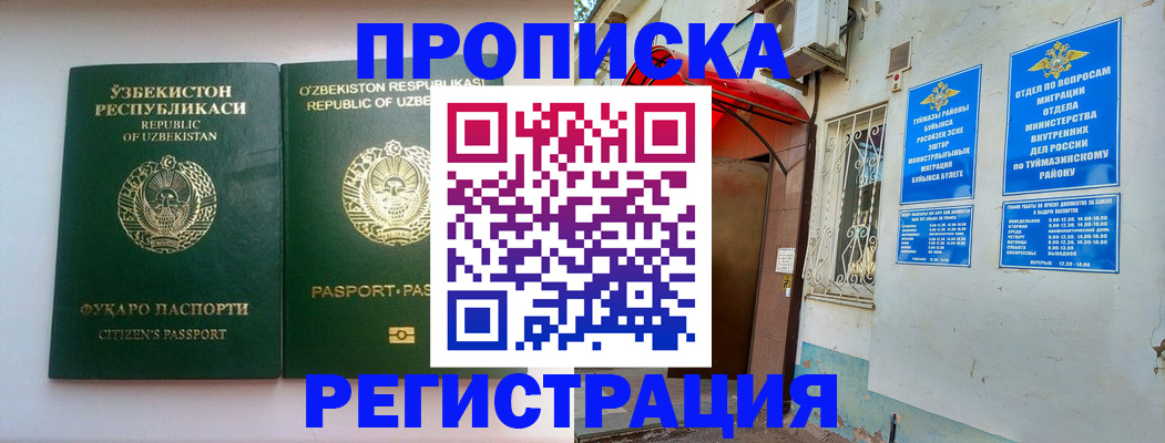 где прописаться в Мурино